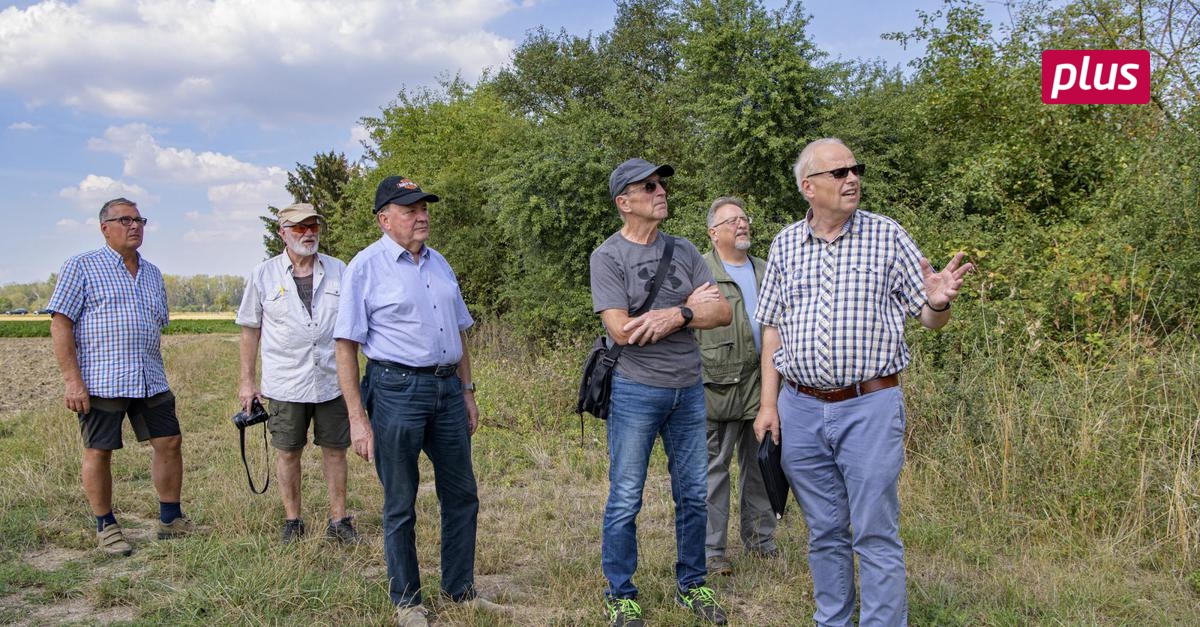 Grünanlagen der Naturlandstiftung sind in gutem Zustand