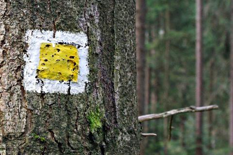Überwiegend findet der Wanderer solche Markierungen, die per Farbe mit Schablone von Hand auf Bäume, markante Steine oder Zaunpfosten aufgebracht wurden und der regelmäßigen Auffrischung durch Wegewarte bedürfen. Foto: Hans-Dieter Schmidt