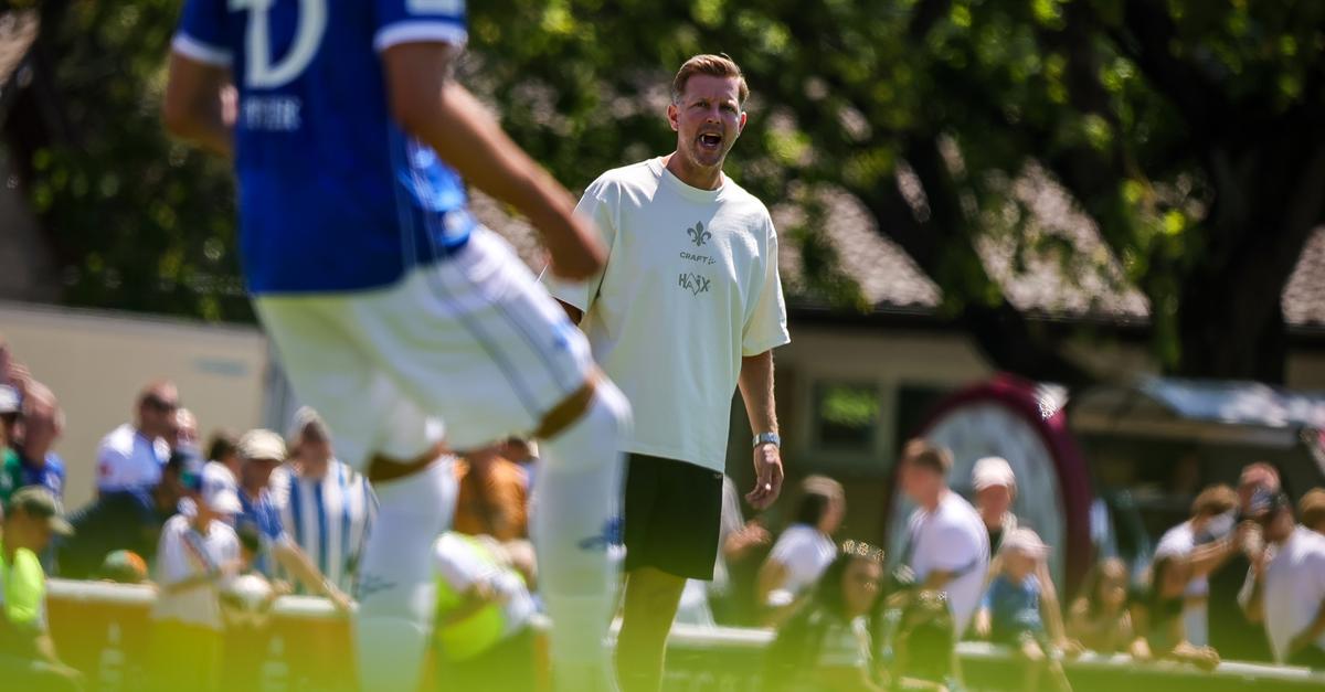 SV Darmstadt 98: Florian Kohfeldt schießt gegen Ex-Trainer Torsten ...