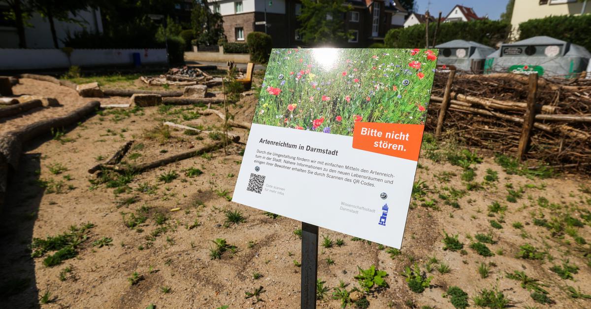 Green spaces in Darmstadt: How the city plans to score points with ...