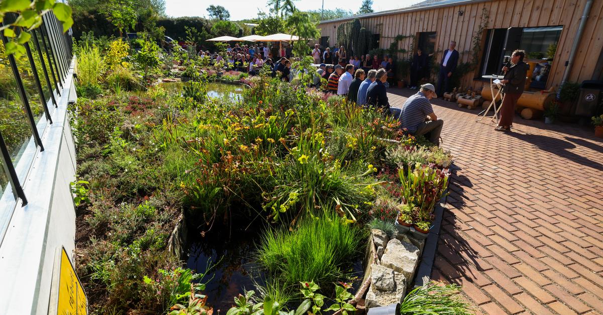 Darmstadt: Inclusive nursery opens at the Oberfeld estate