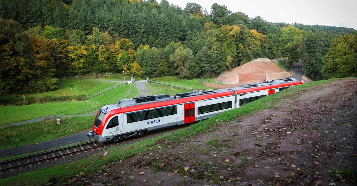Ausfälle auf der Odenwaldbahn 