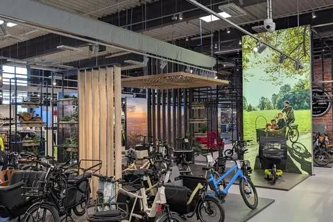 sattelstütze patent xxl gefedert Gefederte Fahrrad-Sattelstütze 27,2 / 30,9 / 31,6 mm für E-Bike und MTB Größe:US 51 buy electric bikes ireland online Tone City - Bad