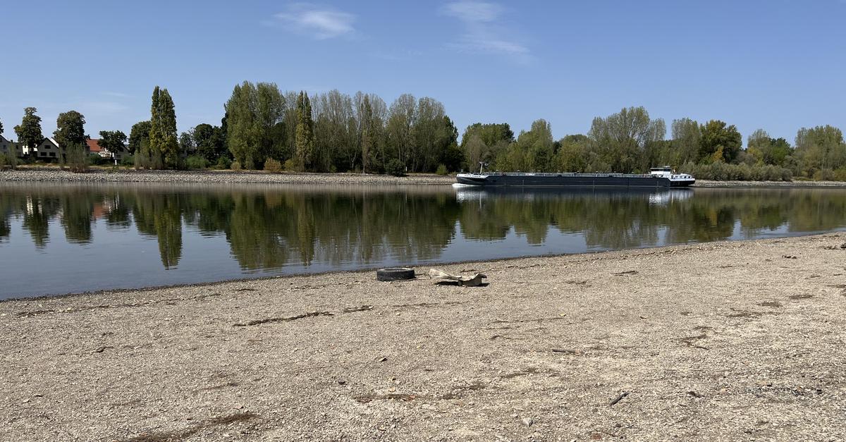 Hat massive Trockenheit des Rheins Auswirkungen auf Unternehmen?