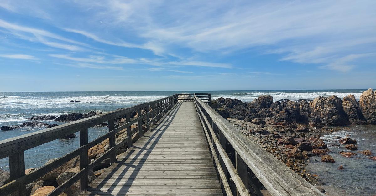 Lisa's Decision: Abortion and the Path to Self-Help