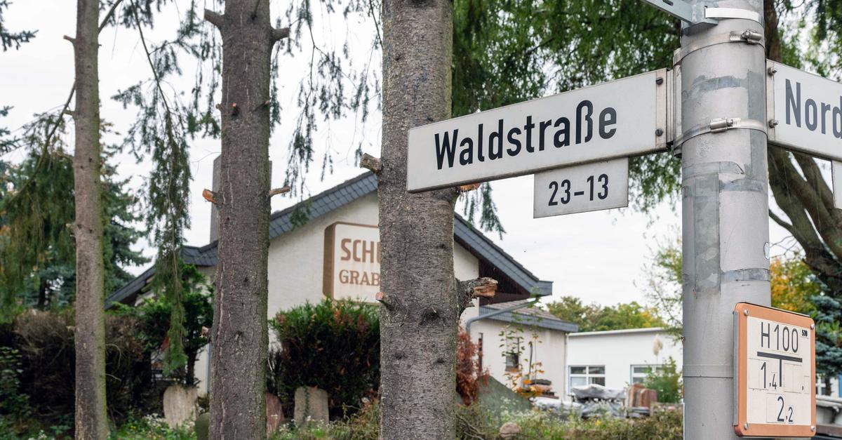 Fabelhafte Steitz Gross Gerau Ebenbildnull