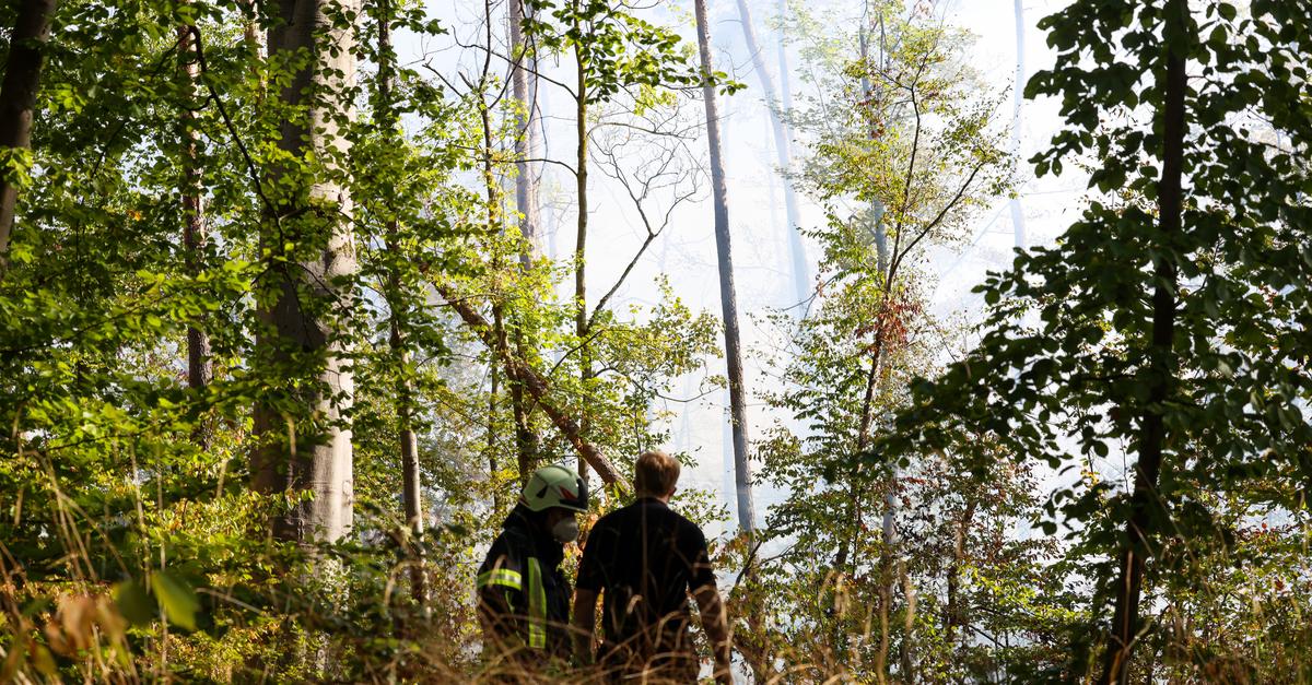 After major operation in Eberstadt: Forest fire danger high in Darmstadt