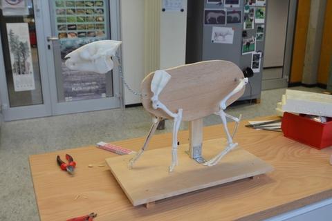 Ein Modell des Messeler Urpferds entsteht in verschiedenen Stufen in den Werkstätten des Darmstädter Landesmuseums. Foto: HLMD