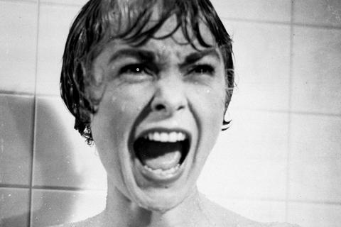 Vor 60 Jahren wurde mit Janet Leigh die Dusche zum Angstraum. Foto: dpa