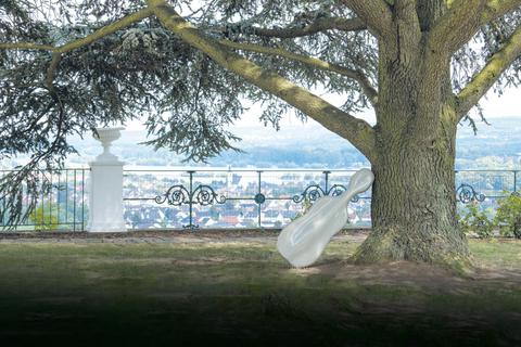 Baum und Cello in trauter Eintracht: Das Verhältnis von Musik und Natur im Rheingau macht zumindest hier einen harmonischen Eindruck. Archivfoto: Marco Borggreve/Rheingau Musik Festival