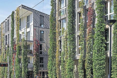 Fassadenbegrünungen werden in Zukunft in Zeiten der Klimakrise immer wichtiger werden – und damit ein Thema für Nachwuchs-Architekten. Foto: Stefan Müller