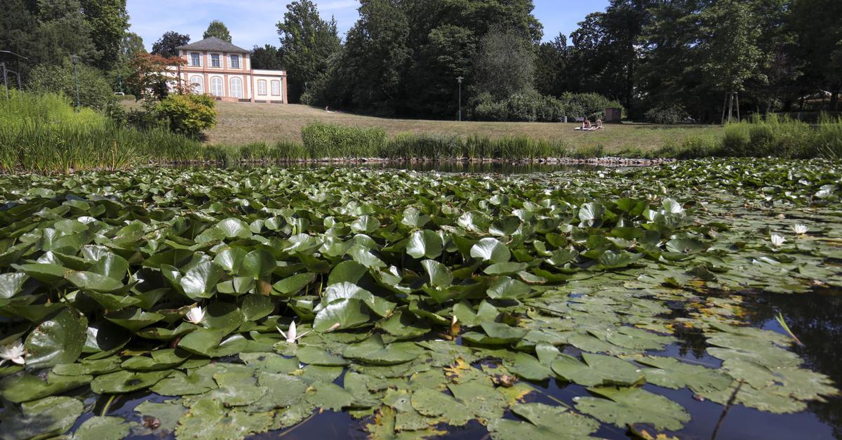Teich im PrinzEmilGarten in Darmstadt wird gereinigt
