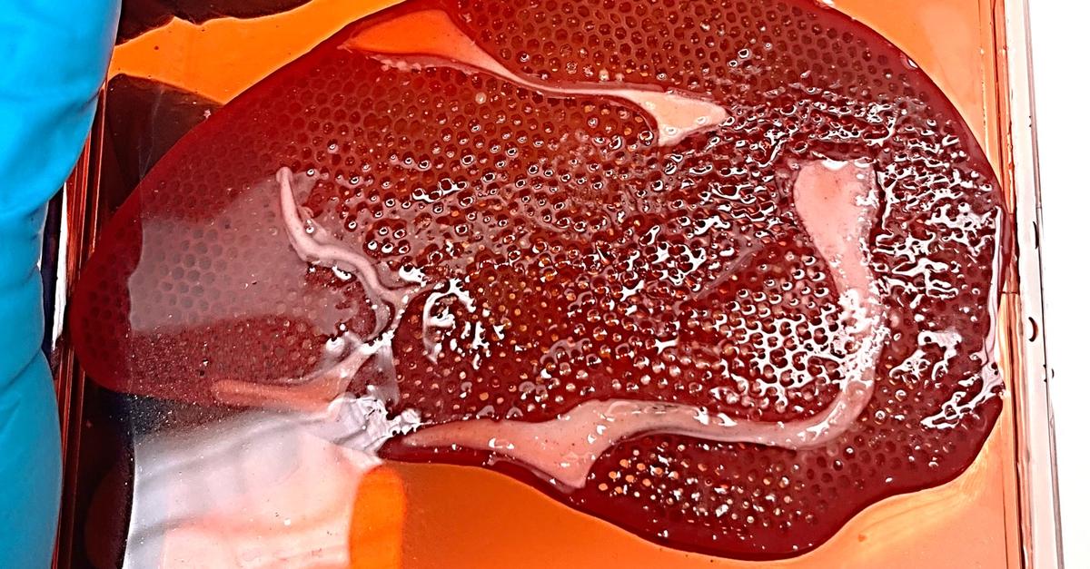 Screen printing: Darmstadt start-up wants to print steaks using T-shirt ...