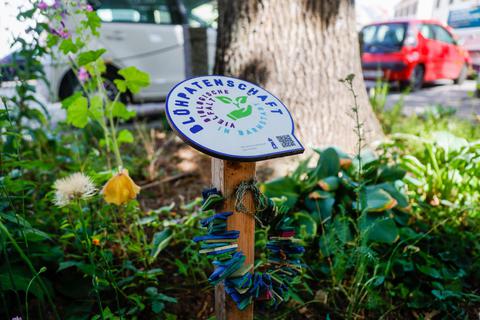 Blüh- und Baumpatenschaften zum Schutz der Umwelt in der Innenstadt gibt es an vielen Stellen wie hier an der Bessunger Straße am Eingang zur Orangerie. Foto: Guido Schiek
