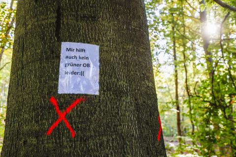 "Mir hilft auch kein grüner OB" steht in Anspielung auf den Darmstädter Oberbürgermeister Jochen Partsch (Grüne) auf einem Zettel an einer Buche, den Gegner der geplanten Waldfällungen dort befestigt haben. Foto: Guido Schiek