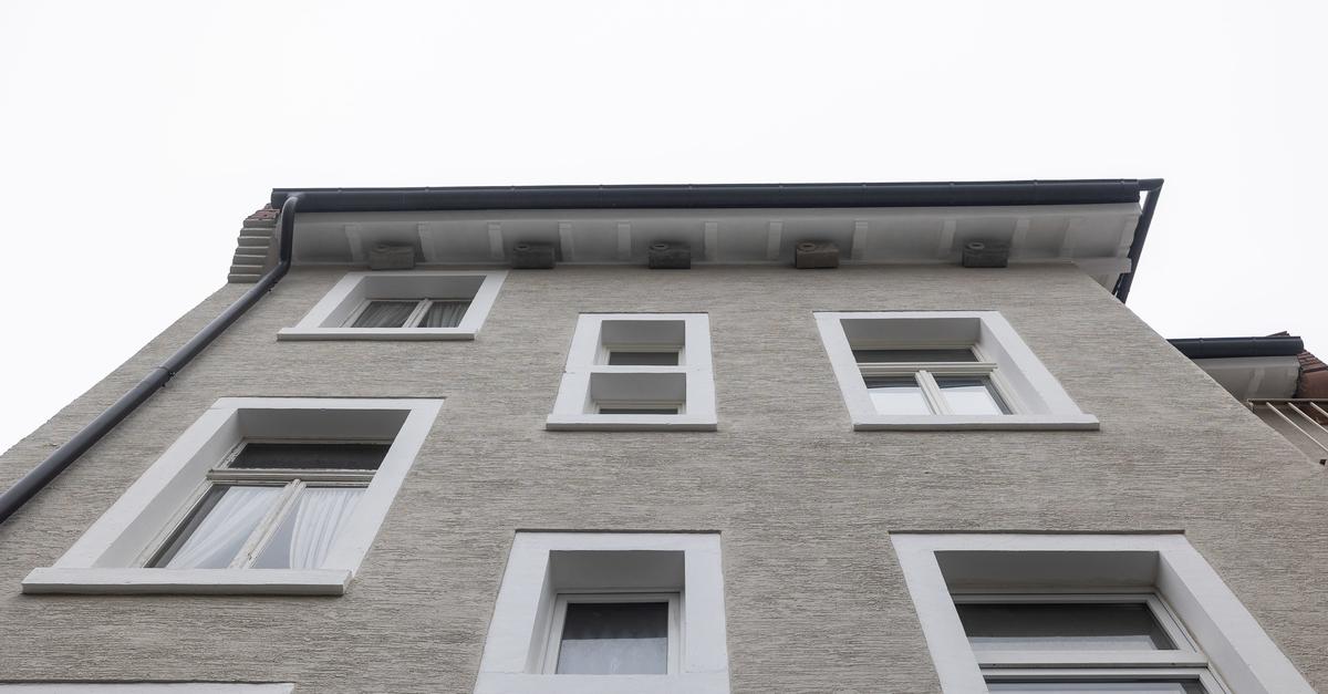 After a building renovation in Darmstadt, there are more nesting sites for ...
