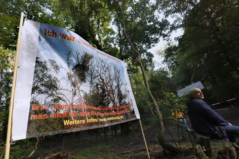 Ein Protestplakat bei einer Demonstration gegen Fällungen am Waldkunstpfad. Archivfoto: Andreas Kelm