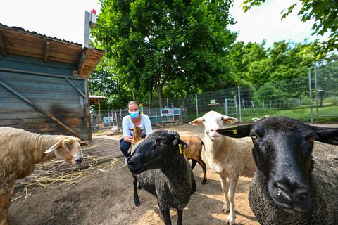 Henrike Wegener kümmert sich mit um die Tiere auf der Kinder- und Jugendfarm – einer der Orte, an denen derzeit Ferienspiel-Aktionen geplant werden. Foto: Dirk Zengel