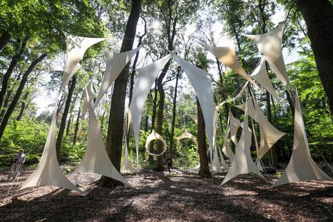 Die Idee, Kunst in den Wald zu bringen, ist genau 20 Jahre alt und entstand in Kooperation mit der Darmstädter Forstverwaltung.  Archivfoto: Guido Schiek 