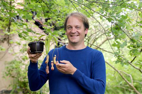 Simon Poppinga, neuer Leiter des Botanischen Gartens, begeistert sich seit seiner Jugend für fleischfressende Pflanzen.