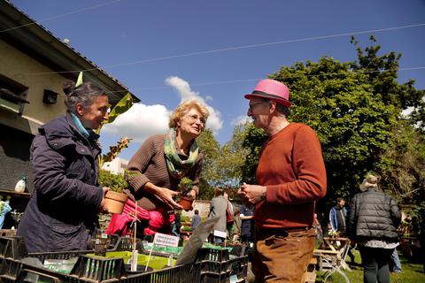 Dieter Krellmann (rechts) von „Essbares Darmstadt“ gibt auf der Tauschbörse in der Klause Tipps für Selbstabholer. Foto: Andreas Kelm