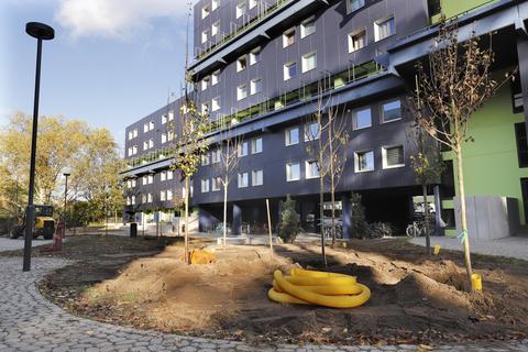 Entsiegelt und neu bepflanzt wird die Außenanlage des Studierenden-Wohnheims. Foto: Andreas Kelm