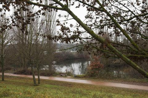 Bis Ende Februar will die Stadt Darmstadt nicht verkehrssichere Bäume fällen lassen – unter anderem im Bürgerpark Nord. Archivfoto: Guido Schiek