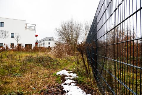 Entlang der Bahntrasse des Edelsteinviertels – zwischen Ostbahnhof und der Straße "Am Molkereibrunnen" – soll in den kommenden Monaten ein Grünzug enstehen, der Biodiversität und Wohlbefinden der Darmstädter fördern soll.