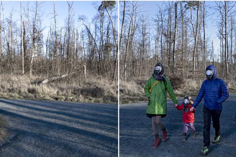 Familiensonntag im Westwald: Das zweiteilige Bild „Darmstadt 2053” stammt von der Fotokünstlerin Rahel Welsen und ist jetzt als Teil einer Bilderschau zum „Unwort des Jahres” in der Galerie der Schader-Stiftung zu sehen. In der linken Hälfte ist der Wald menschenleer, in der rechten Hälfte ist eine Familie beim Spaziergang zu sehen, ausgerüstet mit Gasmasken.