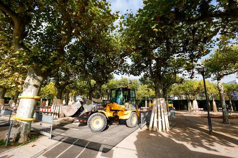 Aufgrund der Sanierungsarbeiten ist der Platanenhain derzeit komplett gesperrt. 35 marode Bäume mussten gefällt werden. Foto: Guido Schiek