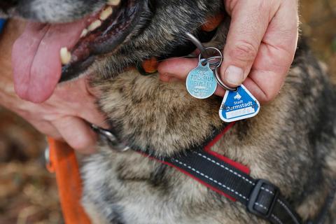 Eine Marke für den Hund: Blinden- oder Assistenzhunde sind von der Steuer seit diesem Jahr befreit. Dafür verlangt die Stadt für Listenhunde einen Aufschlag.