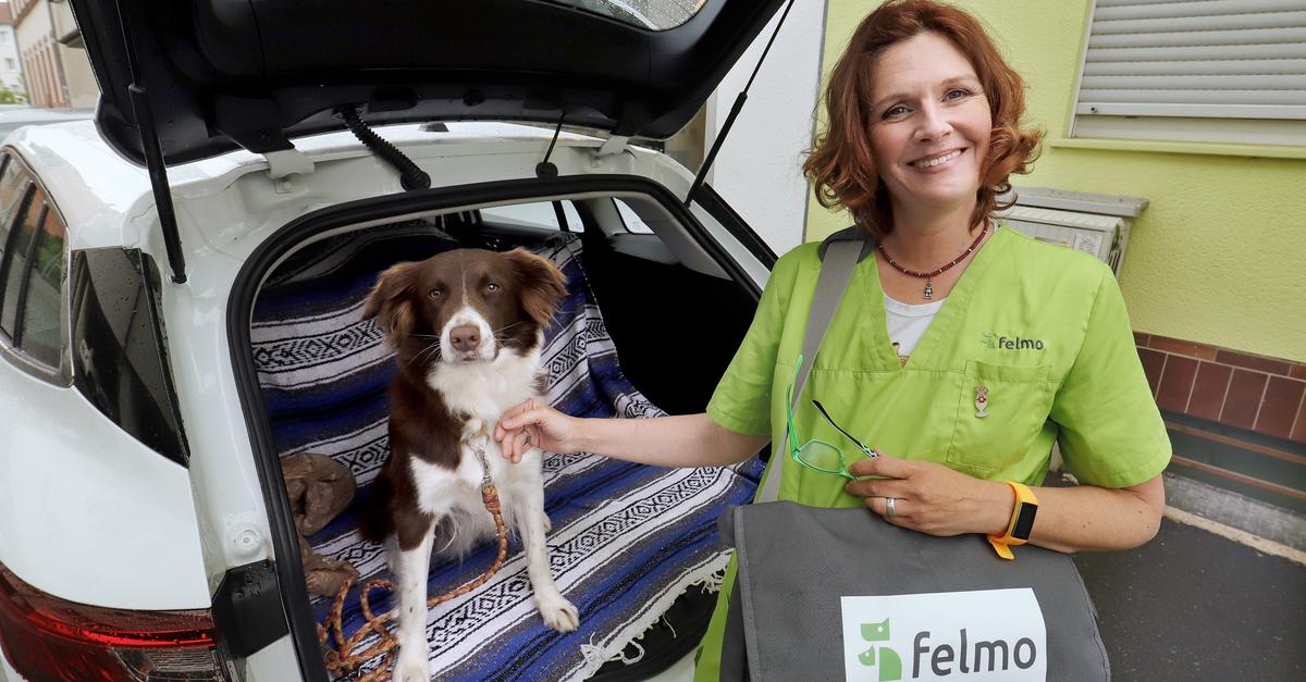 Hausbesuch vom Tierarzt: Startup „Felmo“ bald in Darmstadt
