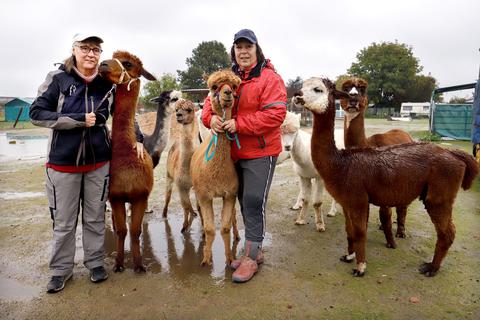 Petra Nothnagel-Kölsch (rechts) und Michaela Jakobi-Huthmann vom Arheilger Tierpark Alpaka Luna sind überzeugt: Alpakas helfen Menschen, sich entspannt kennenzulernen.