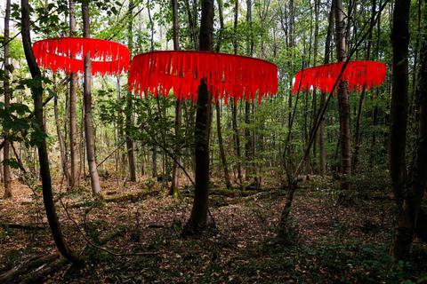 „Sacred“ von Lua Rivera (Mexiko) ist ein Beitrag zum Internationalen Waldkunstpfad des vergangenen Jahres. Archivfoto: Guido Schiek