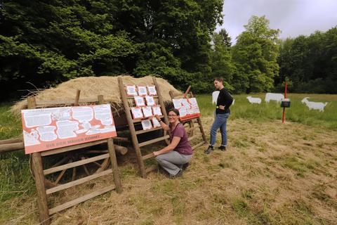 Die Ausstellung „Wiesion“ besteht aus sechs im Freien verteilten Stationen – hier zu sehen Scarlett Umlauf und Hanna Müller (von links). Andreas Kelm