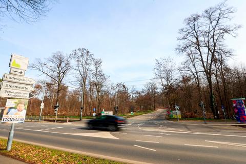 Die neue Bürgerinitiative kritisiert die Pläne für die Ludwigshöhbahn - hier die Einfahrt zur Cooperstraße an der Heidelberger Straße, da sie zu Waldrodungen führen wird. © Guido Schiek