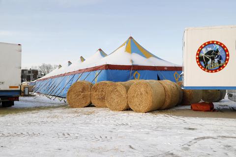 Der Zirkus „Rolina“ lagert mit seinen rund 50 Tieren derzeit in Darmstadt. Die Tierrechtsorganisation Peta fordert, die Tiere abzugeben und umzudisponieren.Foto. Andreas Kelm 