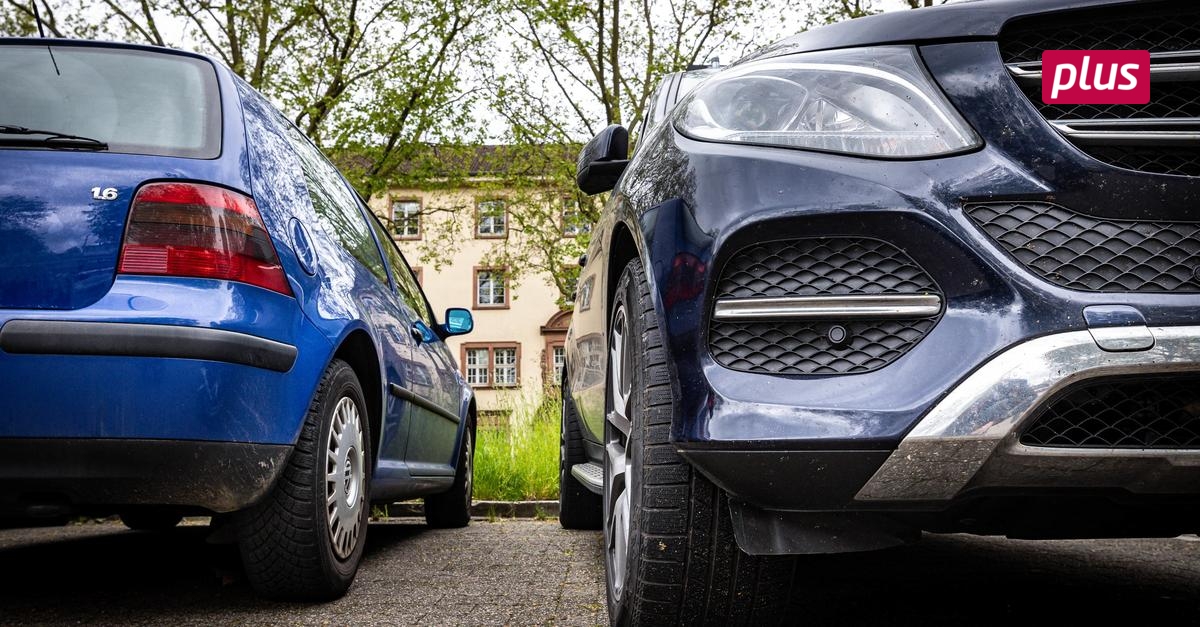 Was Kostet Parken In Bürgerpark Viertel Darmstadt www.echo-online.de