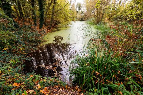 Nach der Aufbereitung soll das gereinigte Wasser des Meiereibaches durch den Judenteich fließen.