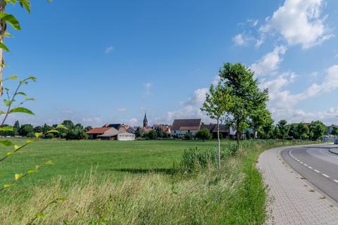 Das Gelände zwischen Fehlheim und Schwanheim, auf dem die neue Groß-Kita entstehen soll, liegt im Bereich der Altneckarschlingen. Archivfoto: Thomas Neu