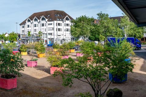 Das Hoffart-Gelände neben dem Parktheater soll in eine Zone für Urban Gardening umgewandelt werden. Foto: Thomas Neu