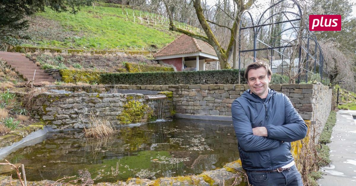 32+ Garten Kaufen Bensheim, Jetzt passende immobilie bei immonet