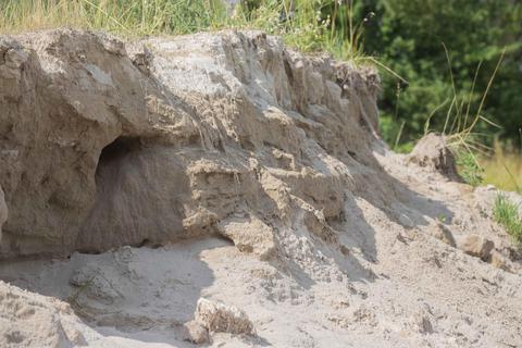 In den Sand der Uferböschungen graben die Schwalben ihre Röhrenbauten. Foto: Thorsten Gutschalk