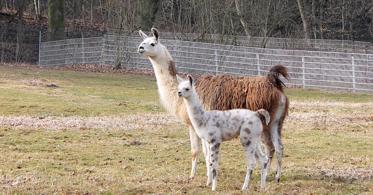 Ausflugstipps: Osterferien im Weschnitztal