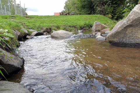 Die Weschnitz wie hier bei Rimbach führt wieder etwas mehr Wasser als noch im August. Foto: Dagmar Jährling