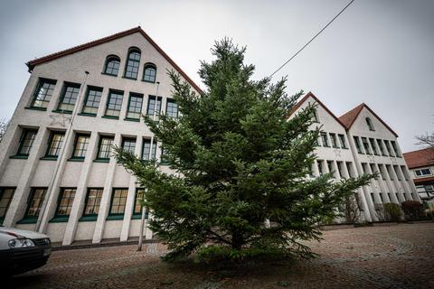 Die Gemeinde Fürth sucht auch in diesem Jahr wieder Weihnachtsbaumspender. Archivfoto: Sascha Lotz