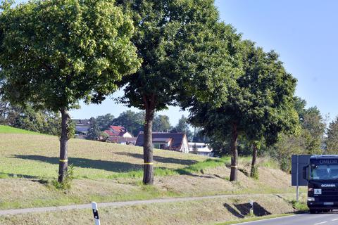 Streuobstwiesen und gelbes Band - auf der B47 in Richtung Fürth fotografiert. Foto: Dagmar Jährling