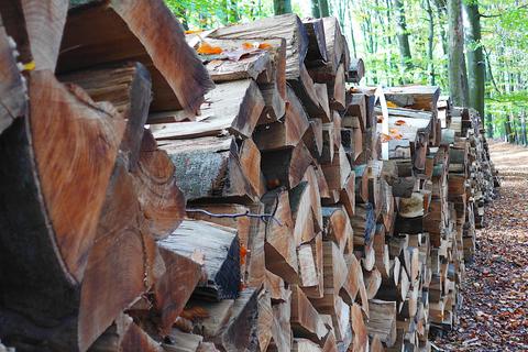 Brennholz wird als Energieträger immer beliebter. In Fürth können es entsprechend geschulte Bürger auch selbst aus dem Wald holen und zerkleinern. Foto: Katja Gesche