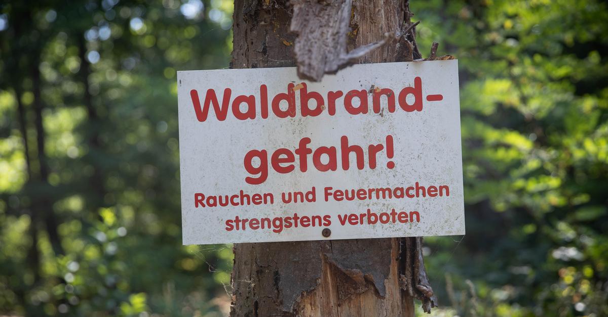 Groß-Gerau district: Fire departments warn of increased forest fire risk