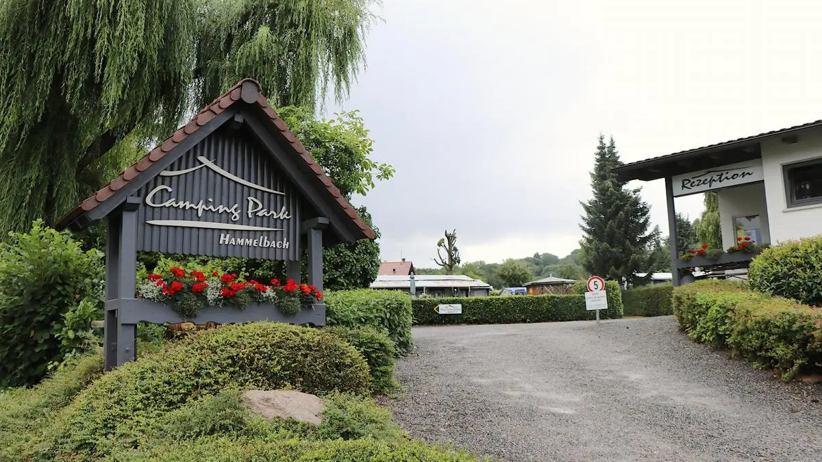 camper t shirt Foo Fighters - Camper Van Vintage White - T-Shirt main image 1